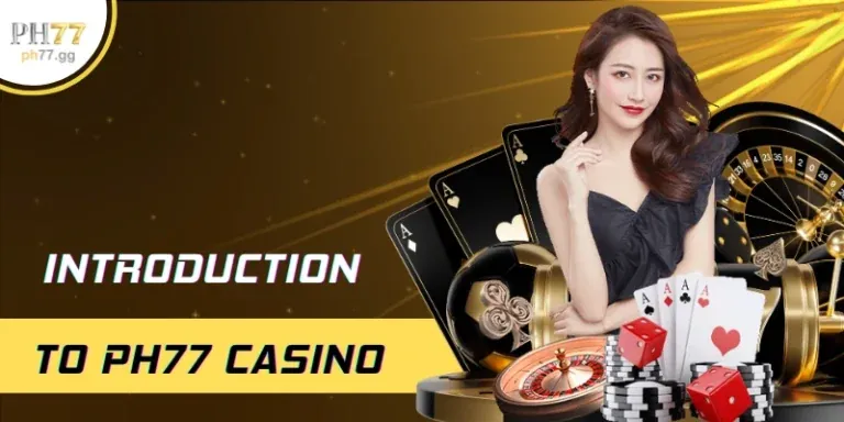 Các cấp độ và đặc quyền của chương trình VIP BL555