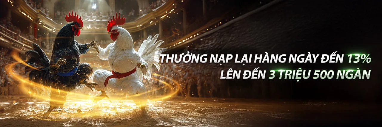 BL555 ưu đãi mới nhất 2026: Tối đa hóa lợi nhuận thưởng